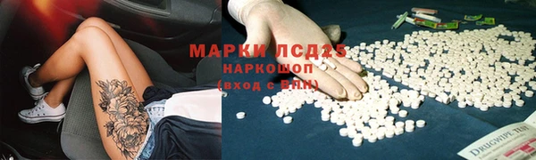 шишки Беломорск