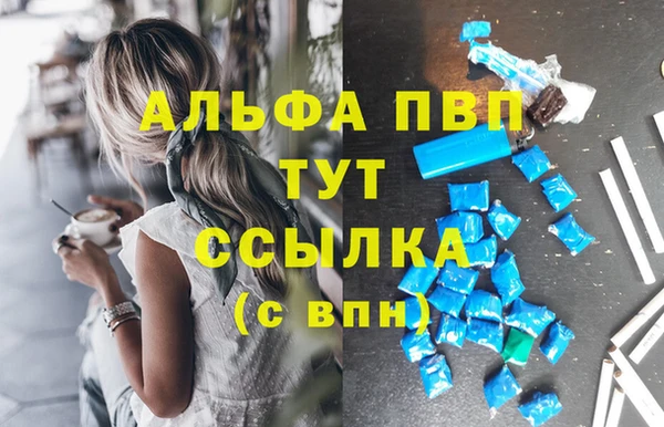 молекула духа Белоозёрский