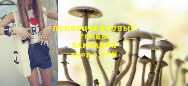 шишки Беломорск