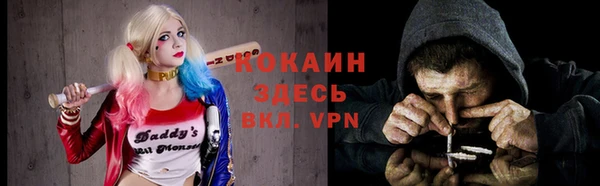 шишки Беломорск
