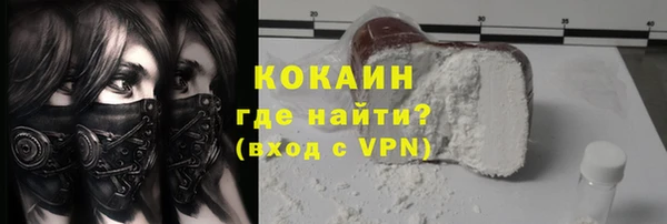 шишки Беломорск