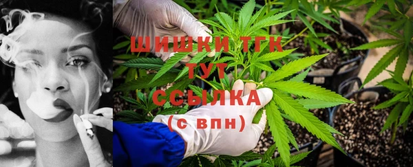 молекула духа Белоозёрский