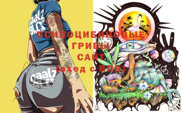 молекула духа Белоозёрский
