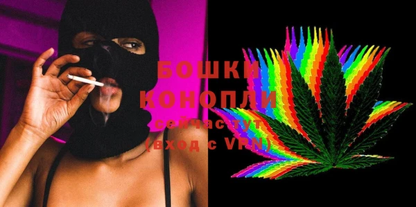 шишки Беломорск