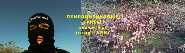 герыч Белокуриха