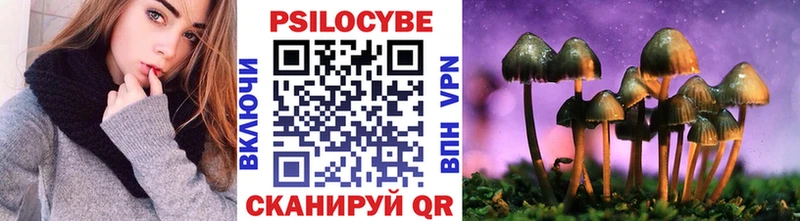 продажа наркотиков  Пенза  Галлюциногенные грибы прущие грибы 